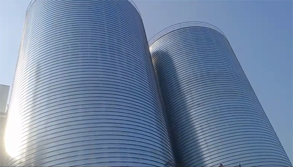 武鸣2座混凝土高架卷板仓